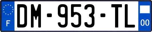 DM-953-TL