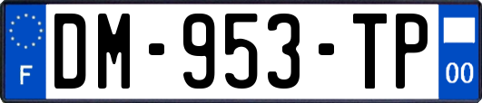 DM-953-TP