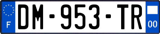DM-953-TR