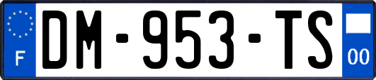 DM-953-TS