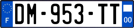 DM-953-TT