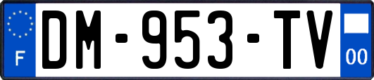 DM-953-TV