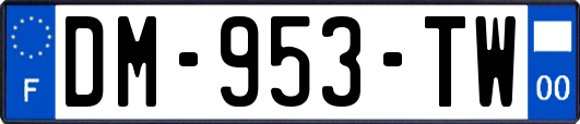 DM-953-TW