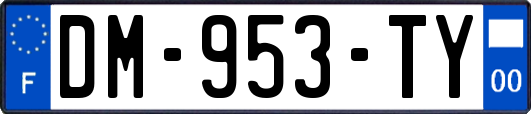 DM-953-TY