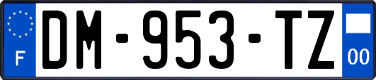 DM-953-TZ