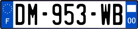 DM-953-WB