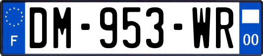 DM-953-WR