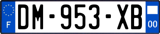 DM-953-XB