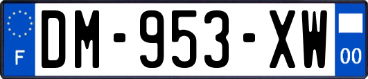 DM-953-XW