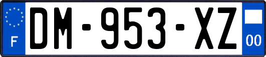 DM-953-XZ