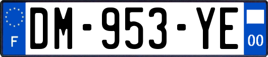 DM-953-YE