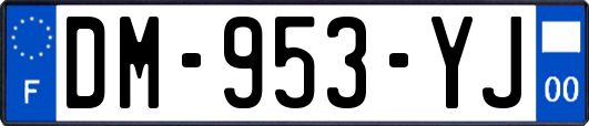 DM-953-YJ