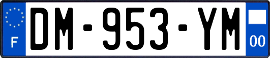 DM-953-YM