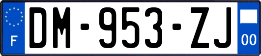 DM-953-ZJ