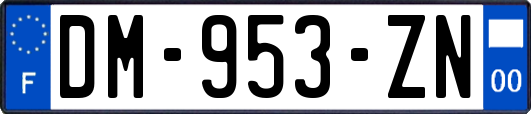 DM-953-ZN