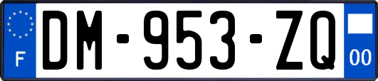 DM-953-ZQ