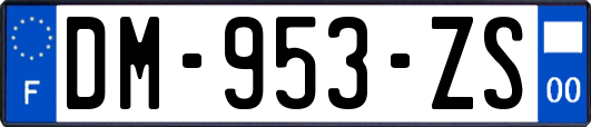 DM-953-ZS