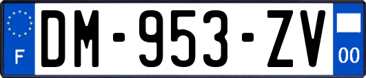 DM-953-ZV