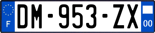 DM-953-ZX