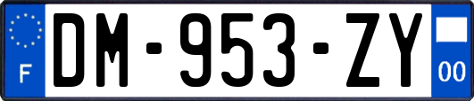 DM-953-ZY