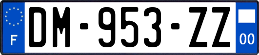 DM-953-ZZ