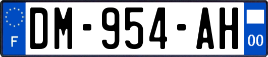 DM-954-AH