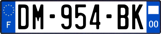 DM-954-BK