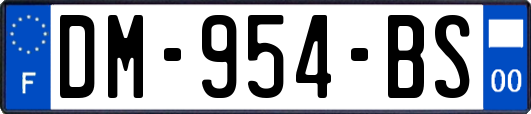 DM-954-BS