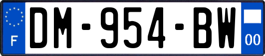 DM-954-BW