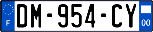 DM-954-CY