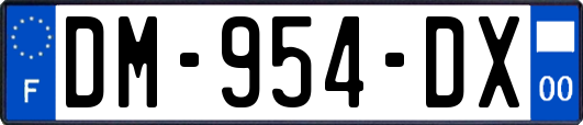 DM-954-DX