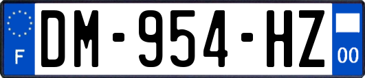 DM-954-HZ
