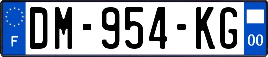DM-954-KG