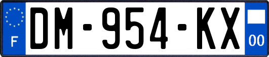 DM-954-KX