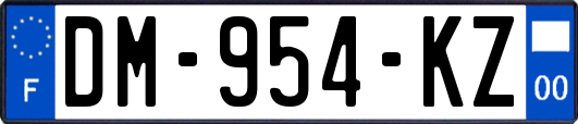 DM-954-KZ