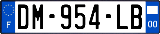 DM-954-LB