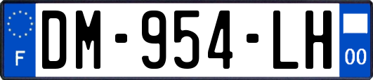 DM-954-LH