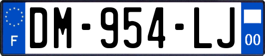 DM-954-LJ