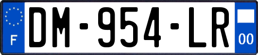 DM-954-LR