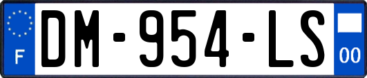 DM-954-LS