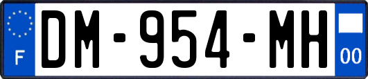 DM-954-MH