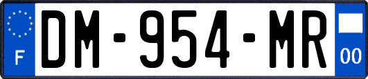 DM-954-MR