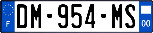 DM-954-MS