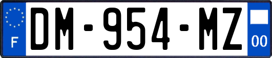 DM-954-MZ