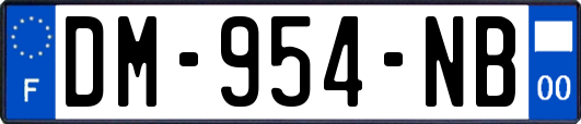 DM-954-NB