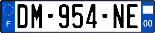 DM-954-NE