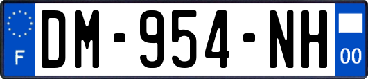 DM-954-NH