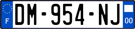 DM-954-NJ