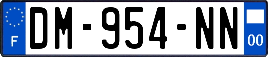 DM-954-NN