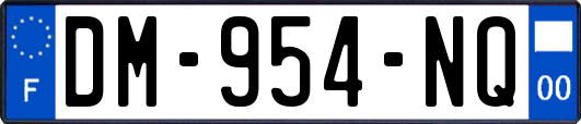 DM-954-NQ